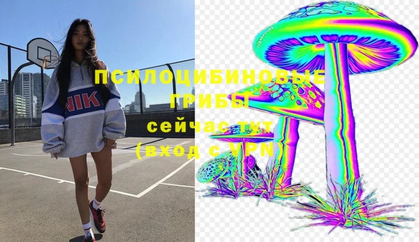 ГАЛЛЮЦИНОГЕННЫЕ ГРИБЫ Нягань