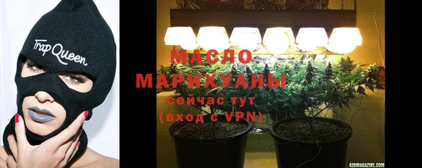 сатива Новодвинск