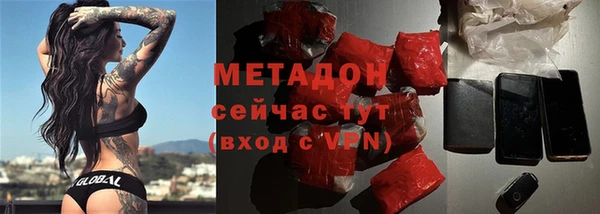 сатива Новодвинск