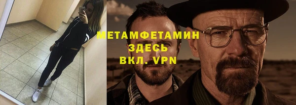 сатива Новодвинск