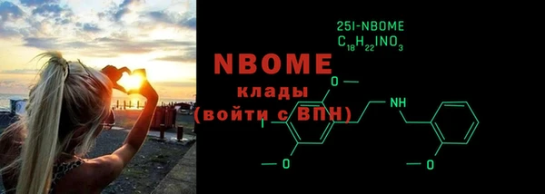 сатива Новодвинск