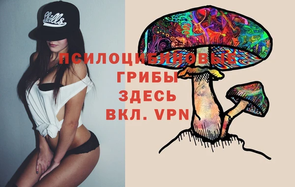 ГАЛЛЮЦИНОГЕННЫЕ ГРИБЫ Нягань