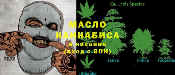 сатива Новодвинск