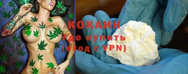 сатива Новодвинск
